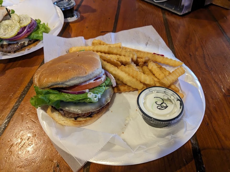 Bison Burger and Fries